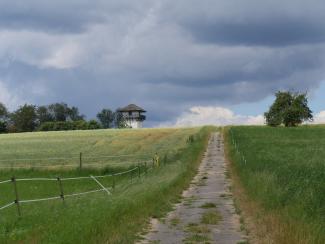 Blick auf Turm von Dasbach