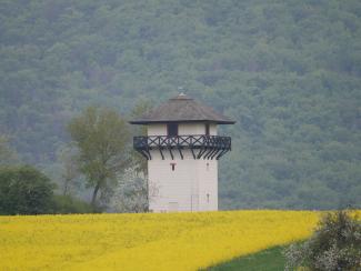 Turm mit Rapsfeld